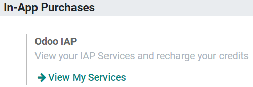 Using erpsys IAP to recharge credits for SMS Marketing in erpsys settings.